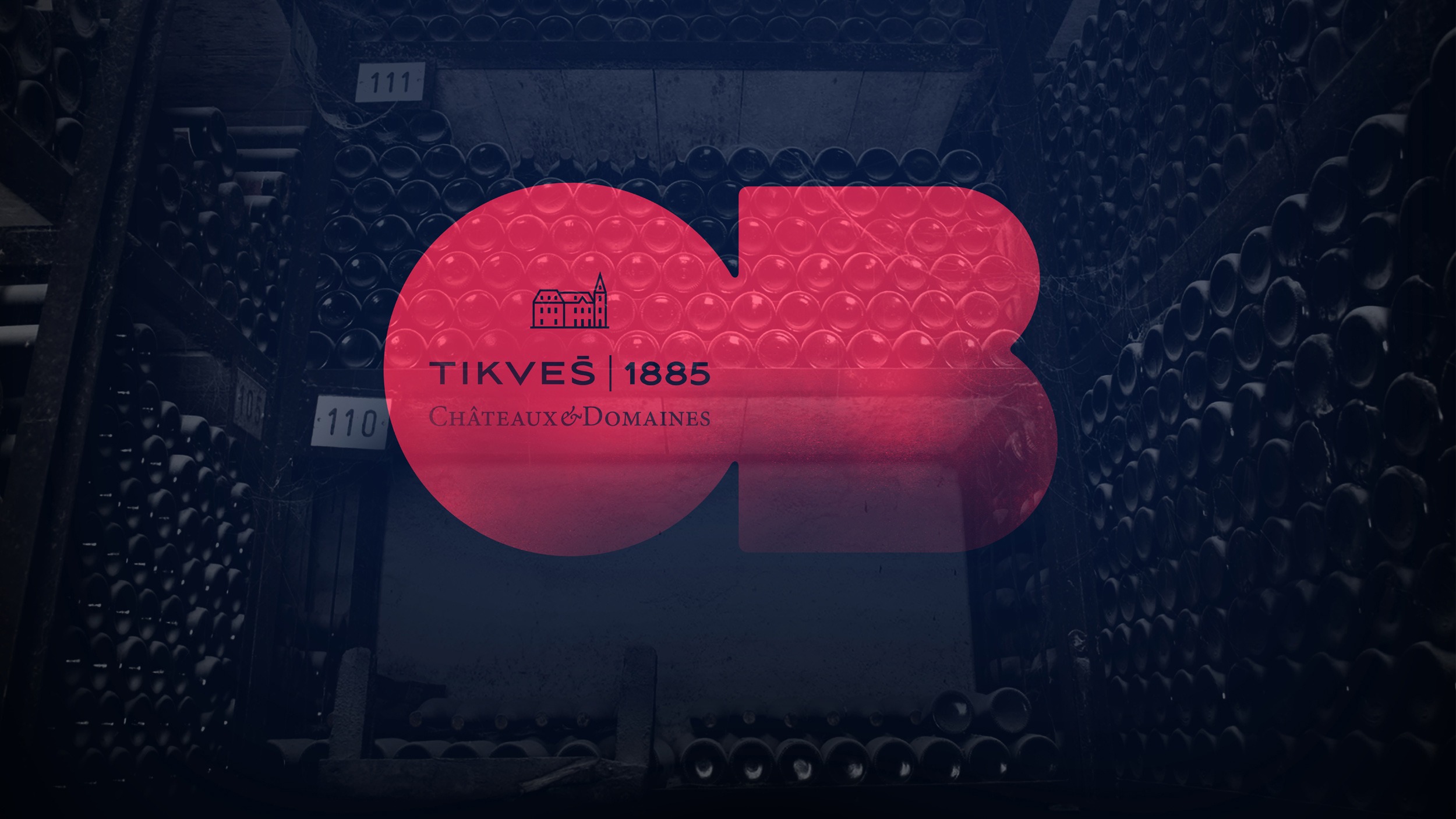 Vinarija Tikveš: ravnoteža tradicije i poslovne izvrsnosti